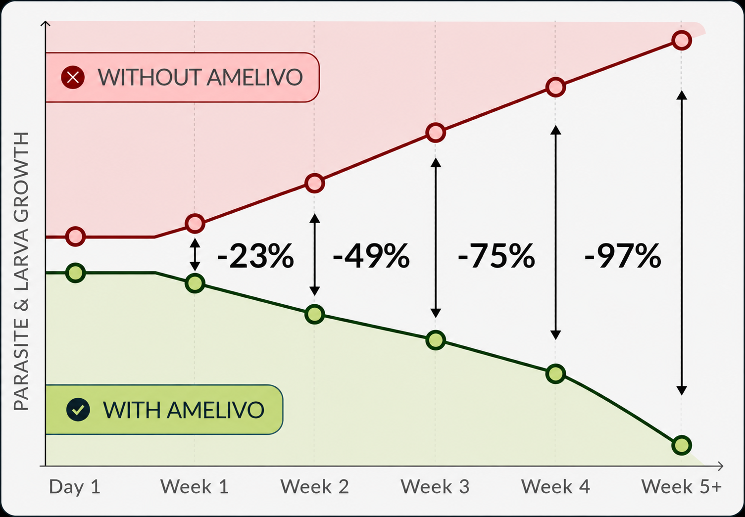 Parasite and larva growth comparison with and without Amelivo