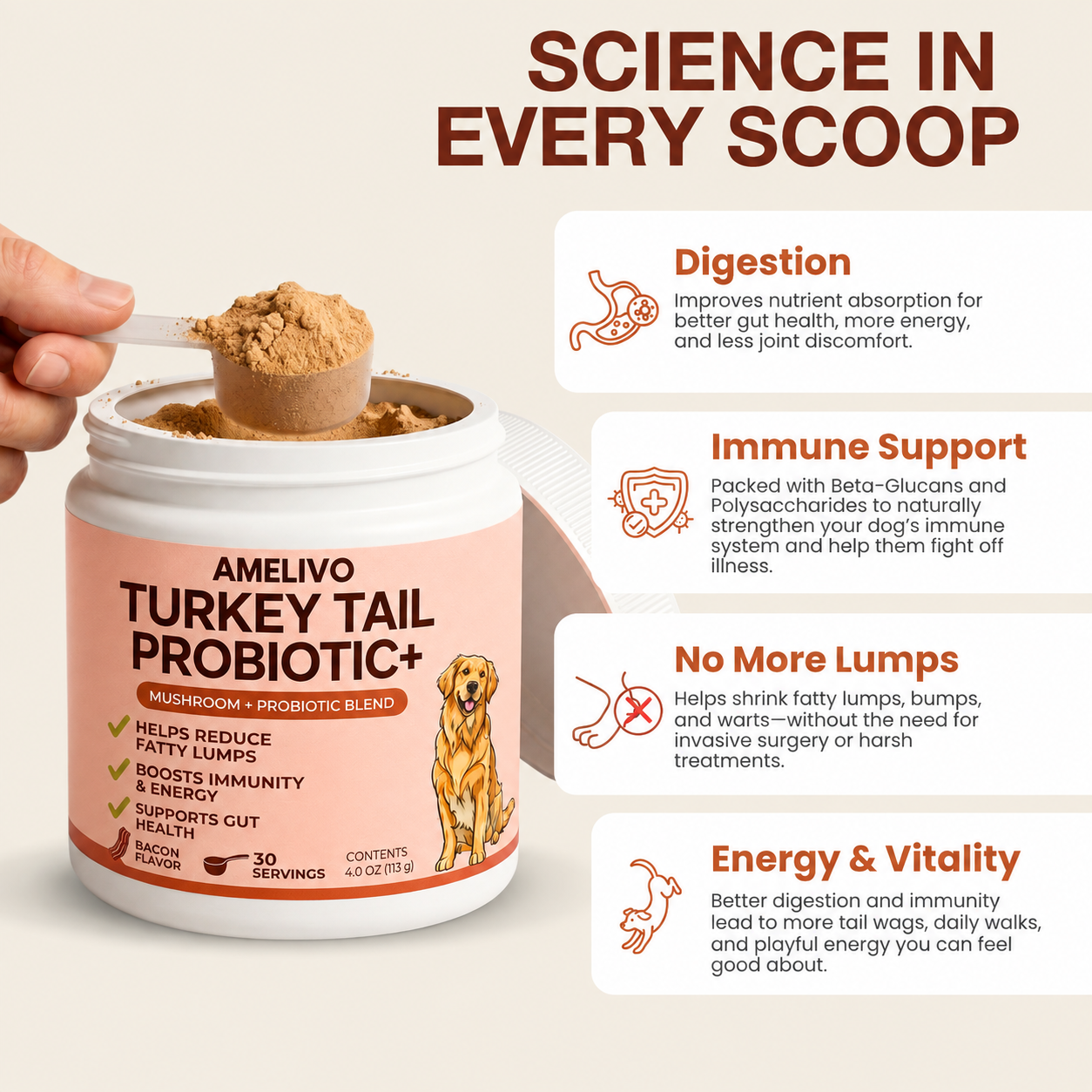 AMELIVO Turkey Tail Probiotic+ with mushroom and probiotic ingredients