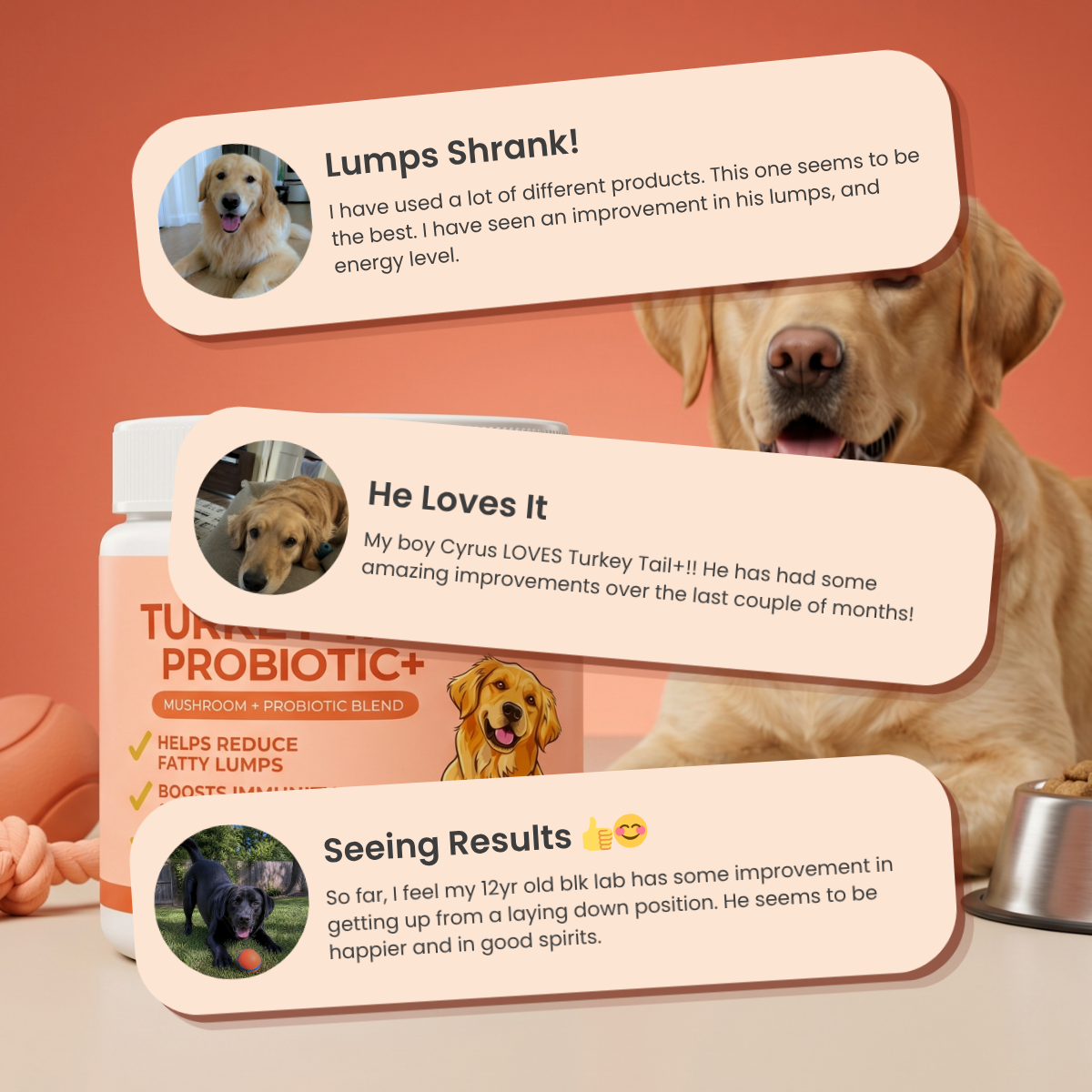 Turkey Tail Probiotic™