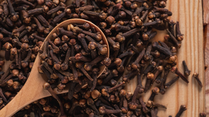 Wormwood Extract